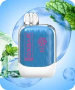 OXBAR G8000 Puffs Disposable Vape in Dubai COOL MINT