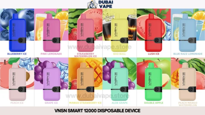 VNSN SMART 12000 DISPOSABLE DEVICE