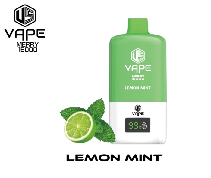 merry vape 15000 disposable lemon mint (2)