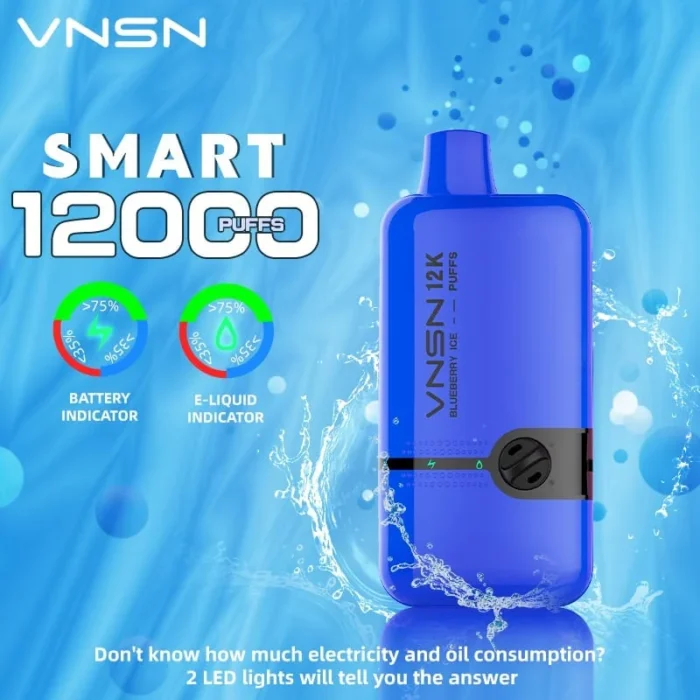 vnsn disposable device 12000 puffs Blueberry ICE