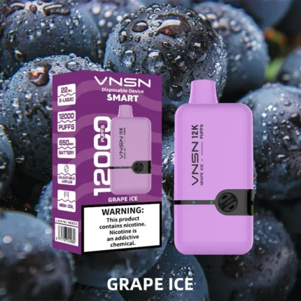 vnsn disposable device 12000 puffs GRAPE ICE Flavour