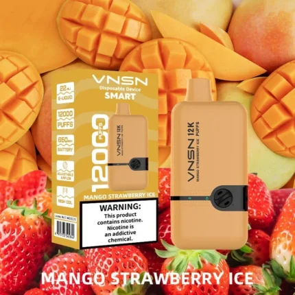 vnsn disposable device 12000 puffs Mango Strawberry