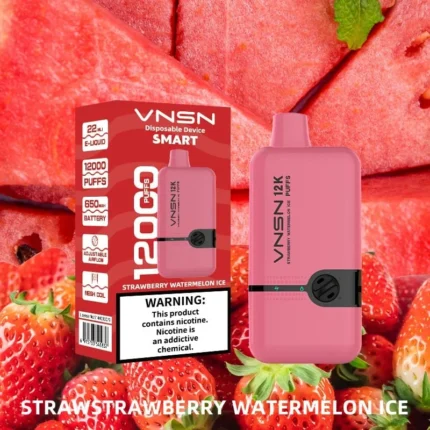 vnsn disposable device 12000 puffs Strawberry Watermelon ICE