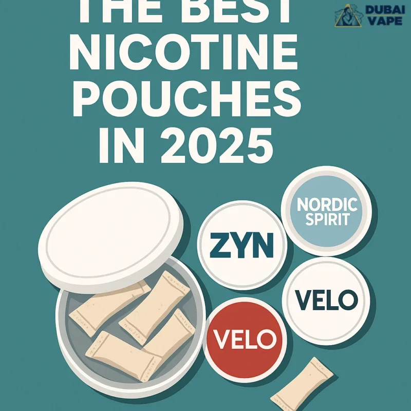 Best Nicotine Pouches in 2025