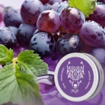 IMG-20240812-WA0012.webp